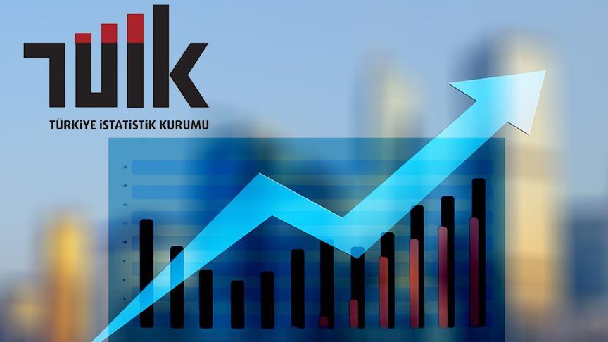 Motorlu Kara Taşıtları, Temmuz 2024